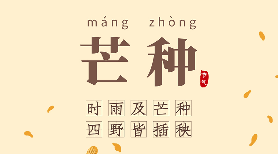 时雨及芒种，四野皆插秧